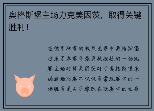 奥格斯堡主场力克美因茨，取得关键胜利！